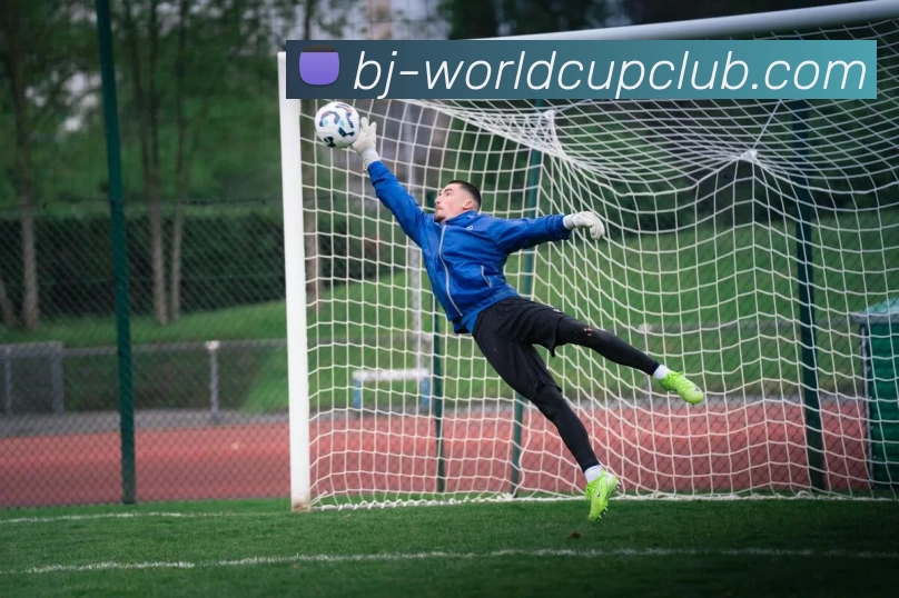 世界杯APP下载发展历程